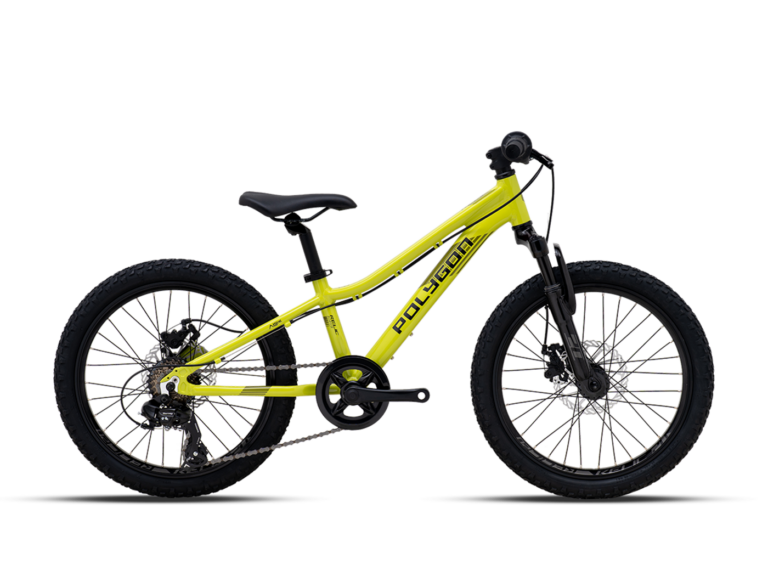 VTT Enfant POLYGON RELIC20
