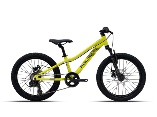VTT Enfant POLYGON RELIC20