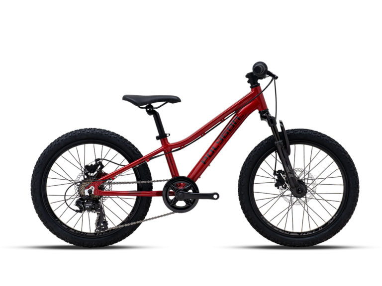 VTT Enfant POLYGON RELIC20